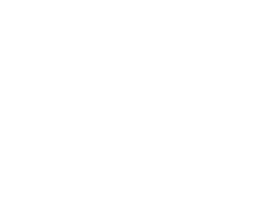 Violence Reduction Network logo